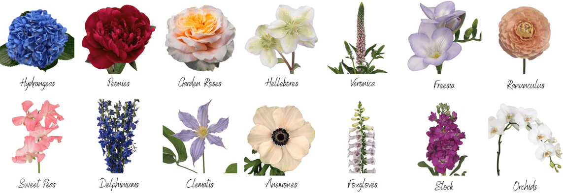 Blog Body Image - 1 - Hot Flowers png