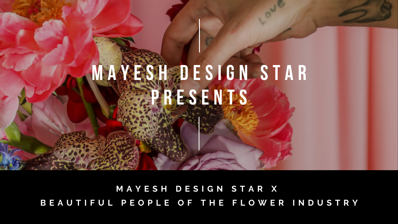 Mayesh Design Star x Beautiful People of the Flower Industry