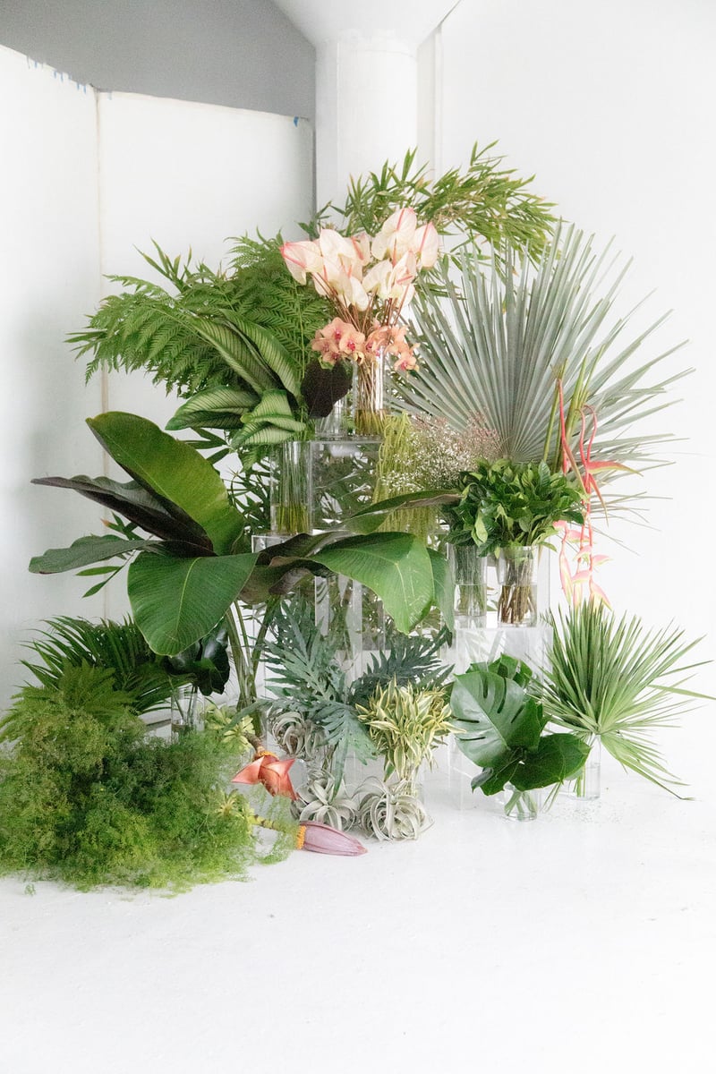 tropical foliages and flowers