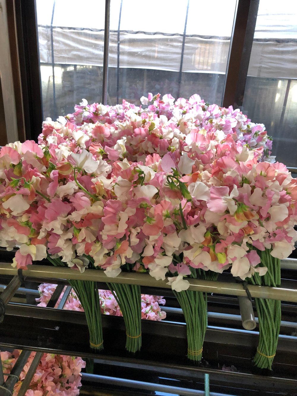 Japanese Flowers Showcase Sweetpeas (35)
