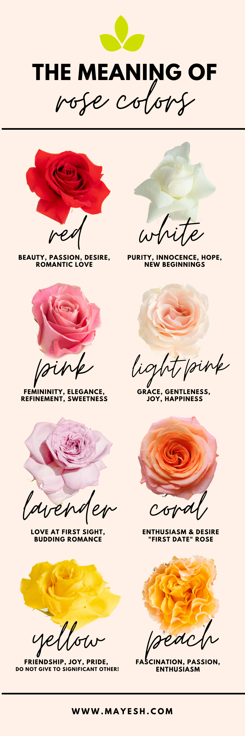 Rose Color Meaning Infographic ?width=800&name=Rose Color Meaning Infographic 
