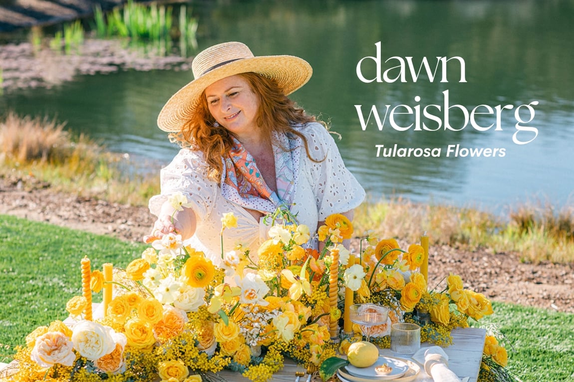 Design Star Dawn Weisberg