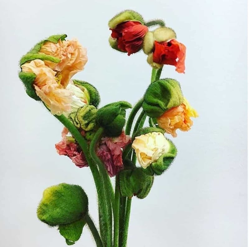 Mayesh Luxe Blooms Italian Icelandic Poppies