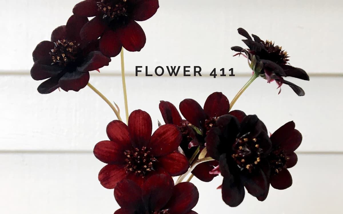 Flower 411 November Product Availability