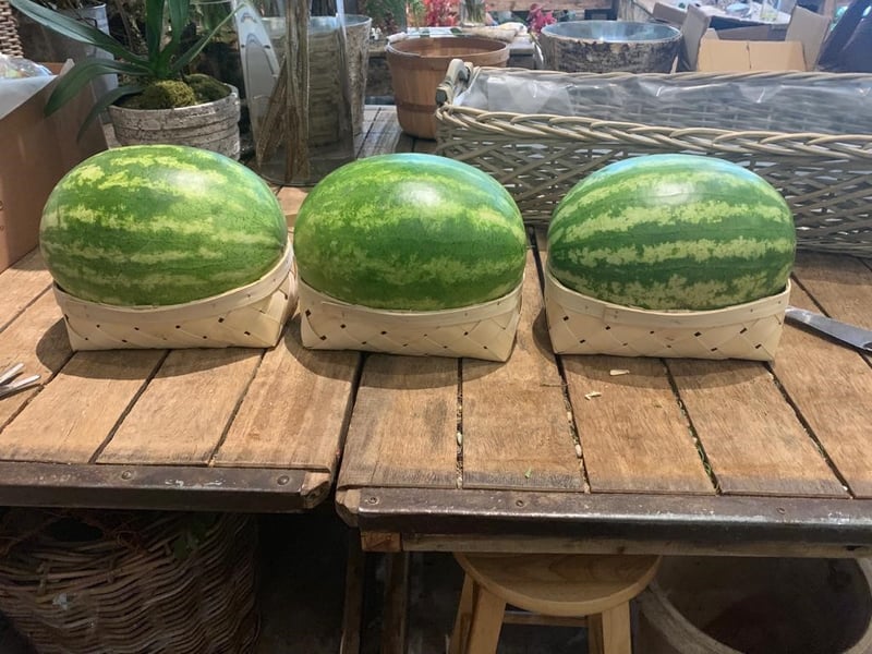 sustainable floral design: watermelon design mechanics