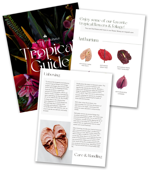 Tropical  Educational Guide - Thank You Page-1-1