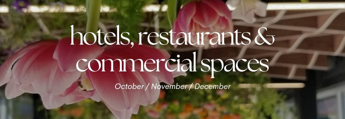 hotels-restaurants-commercial