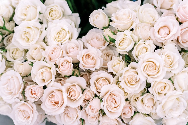 white majolika spray roses at the Mayesh Design Star Workshop in Columbus, OH