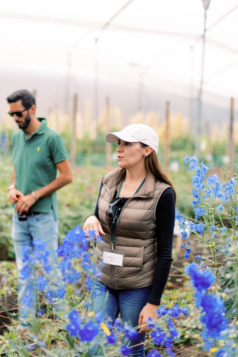 ValleFlor employee leading tour of delphinium greenhouses. 