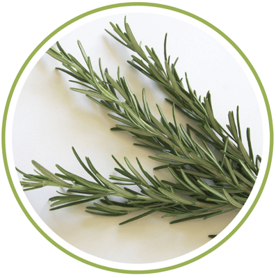 rosemary