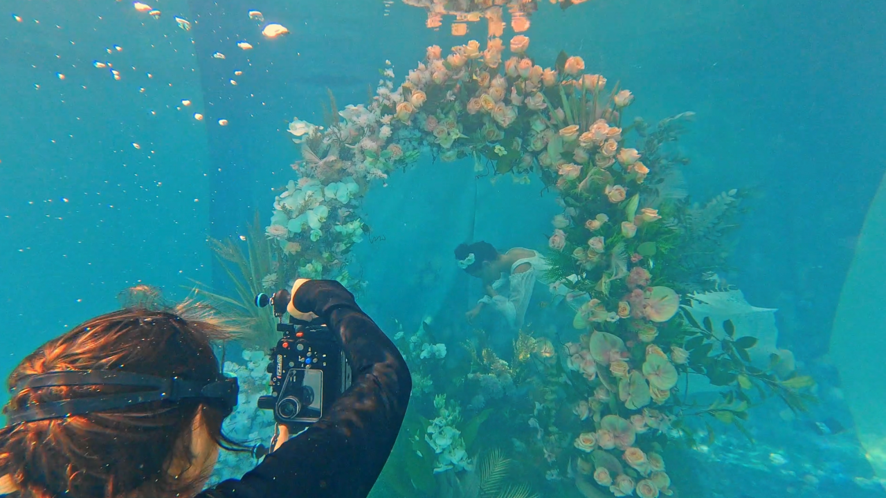 Mayesh Design Star: Underwater Floral Garden Behind-the-Scenes