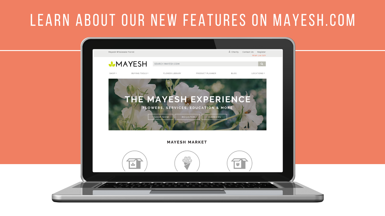 What's New on Mayesh.com?