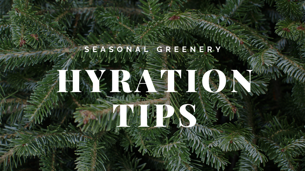 Seasonal Greens Hydration Tips
