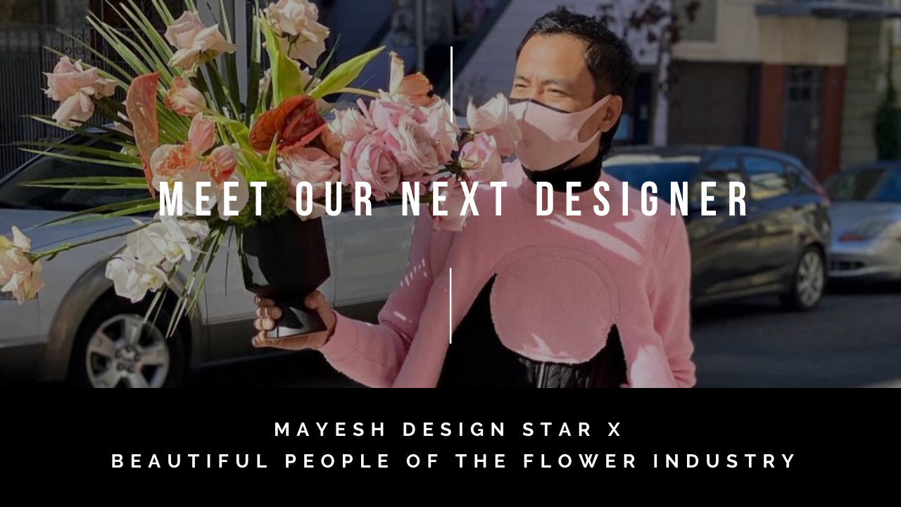 Mayesh Design Star Featured Designer: Tyson Lee