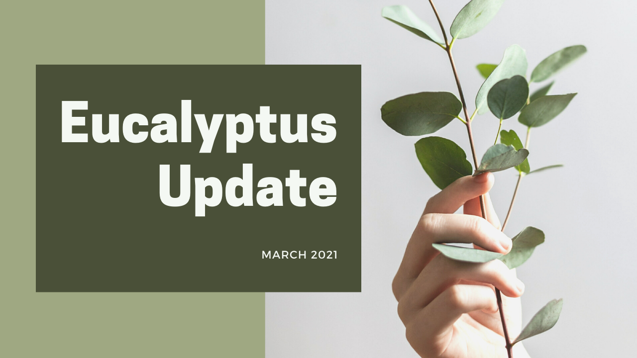 Eucalyptus Update
