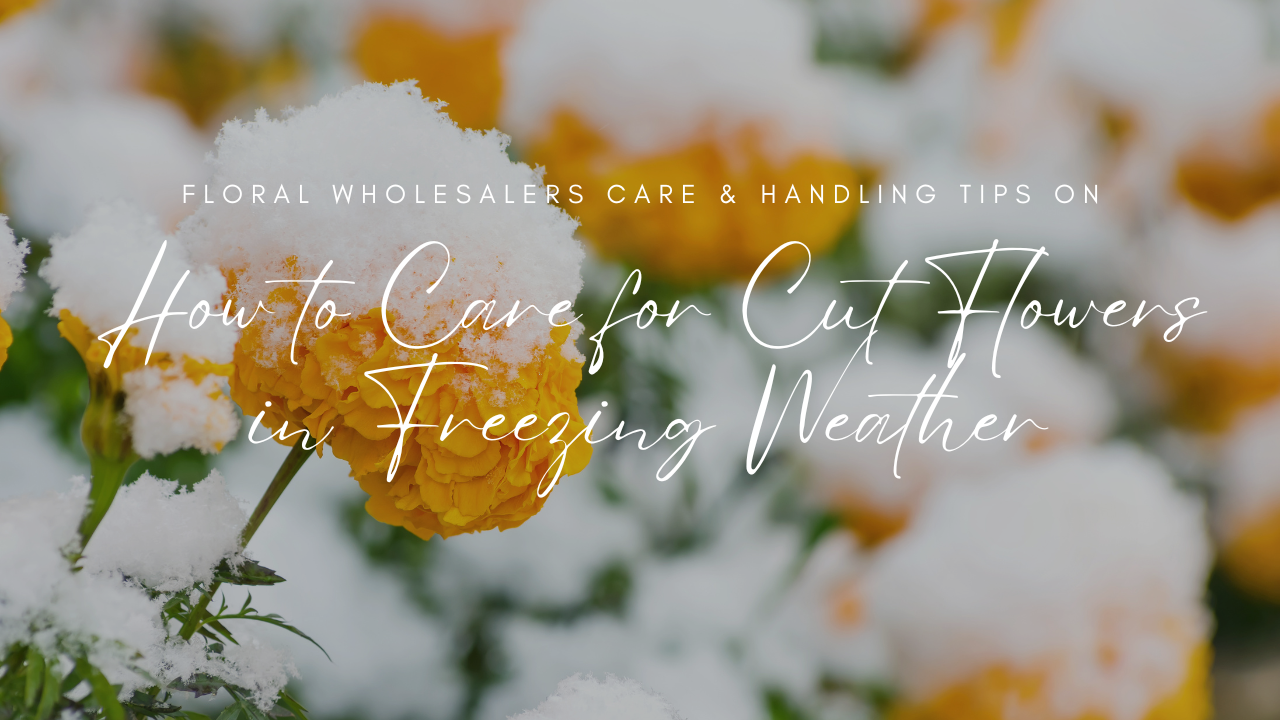 How to Care for Cut Flowers in Freezing Weather
