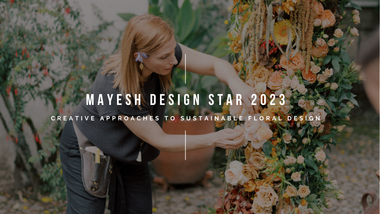 Mayesh Design Star 2023