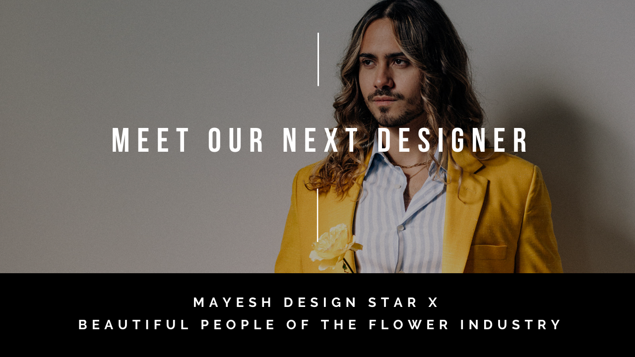 Mayesh Design Star Featured Designer: Gilberto Espinoza