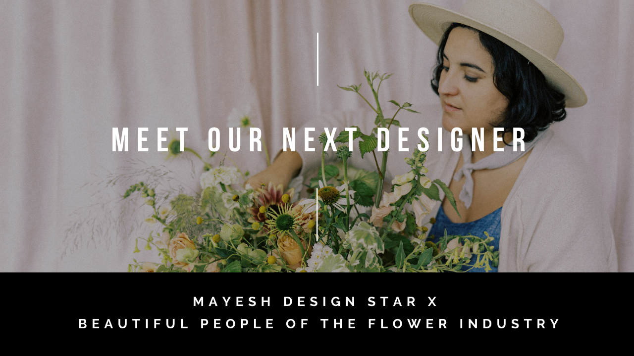 Mayesh Design Star Featured Designer: Amy Balsters