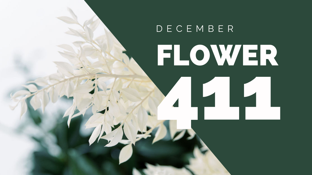 Flower 411: December 2020