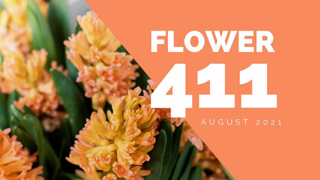 Flower 411: August 2021