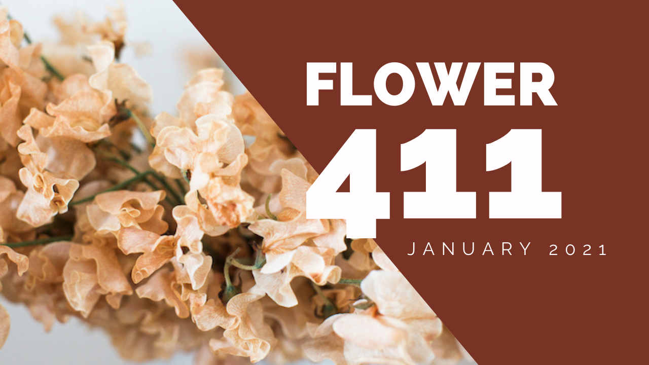 Flower 411: January 2021