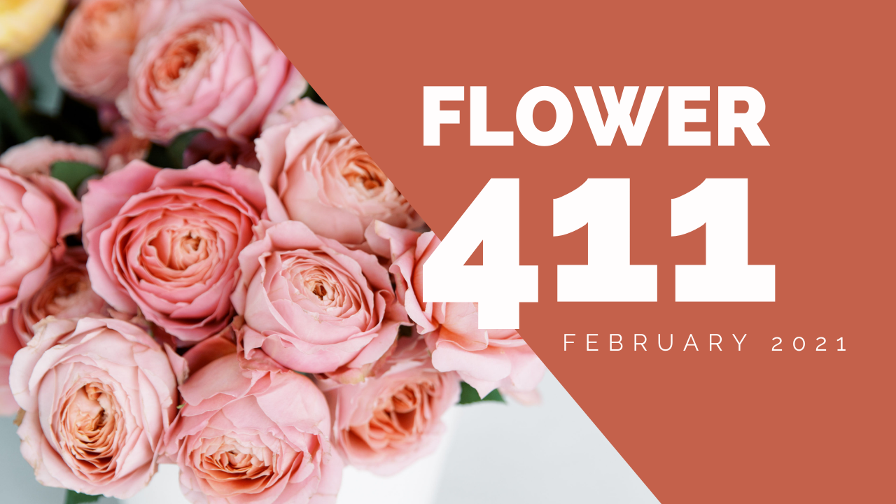 Flower 411: February 2021