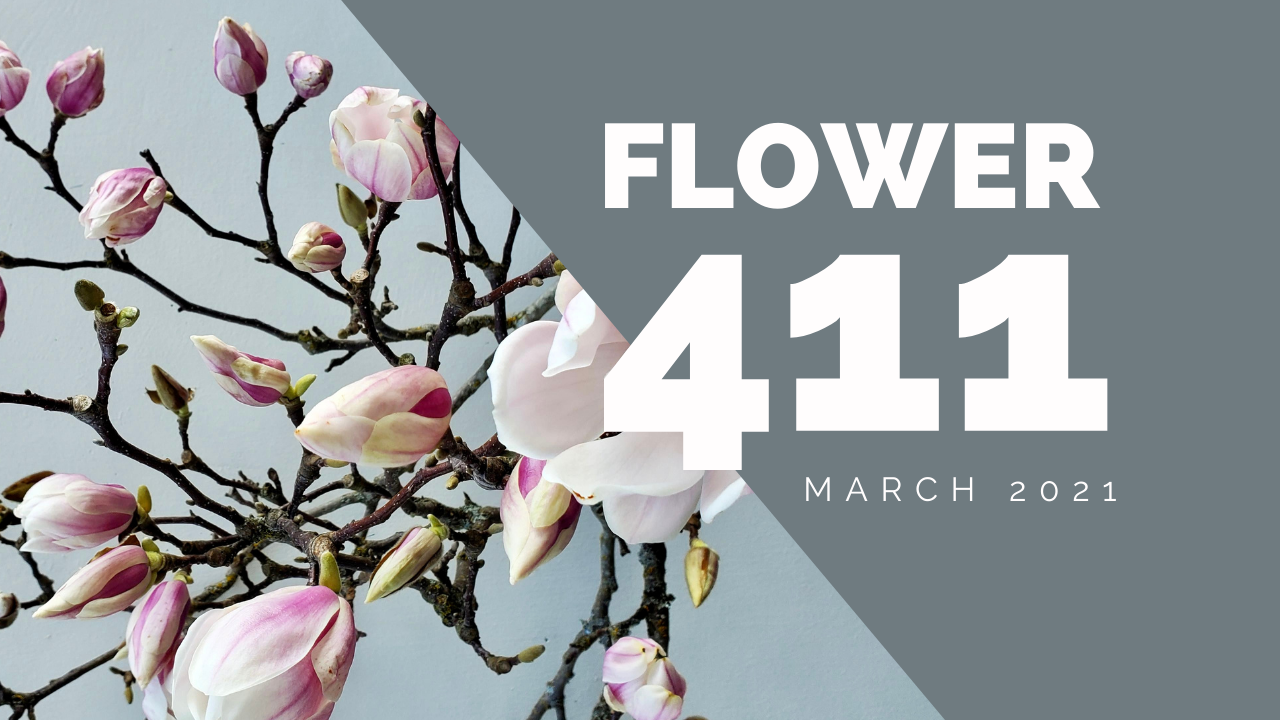 Flower 411: March 2021