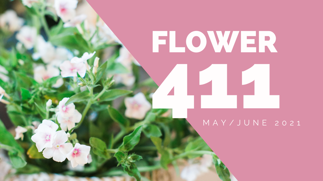 Flower 411: May & June 2021