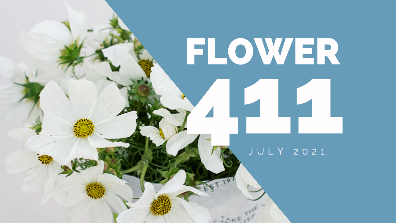 Flower 411: July 2021