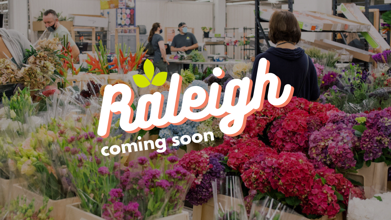 Press Release: Mayesh is Coming to Raleigh, NC