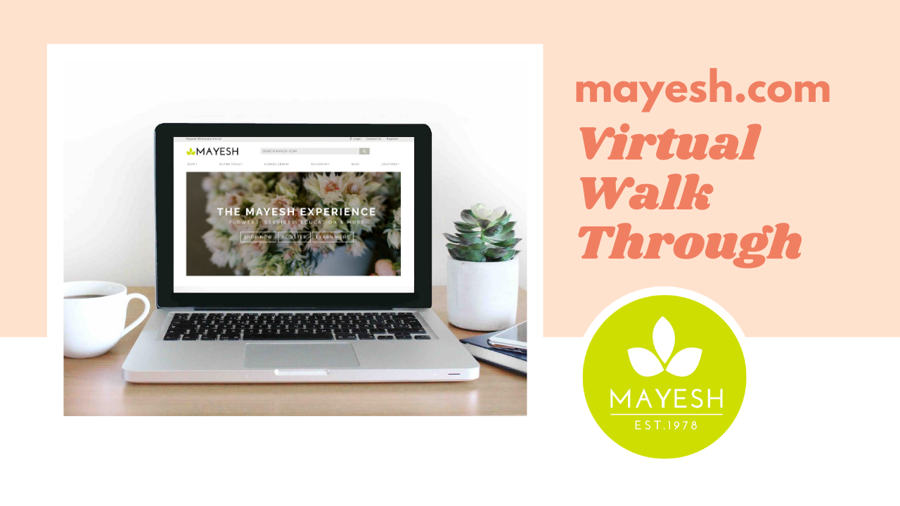 Mayesh.com Virtual Walk Through