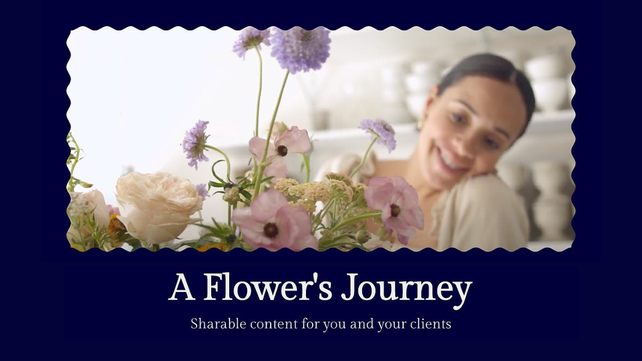 BloomTV: A Flower's Journey