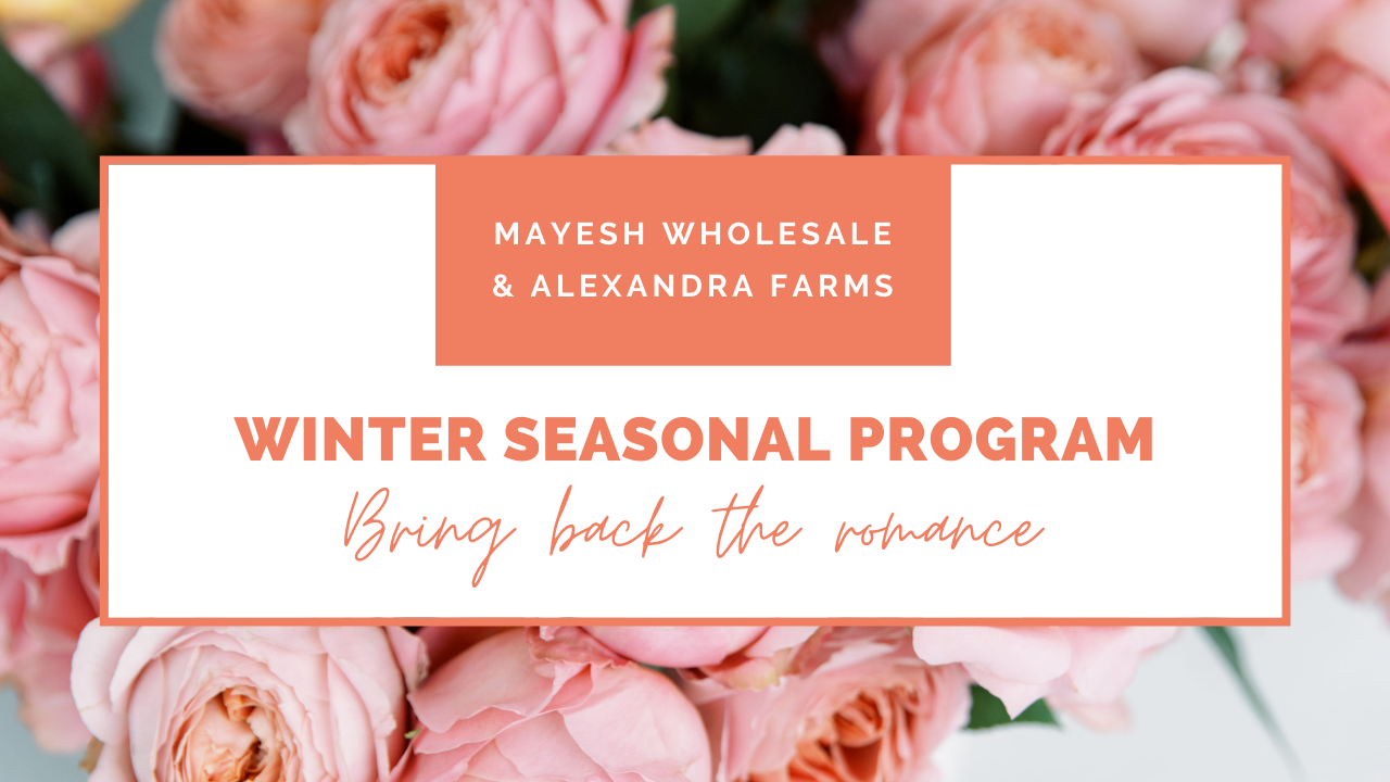 Winter Seasonal Garden Rose Program