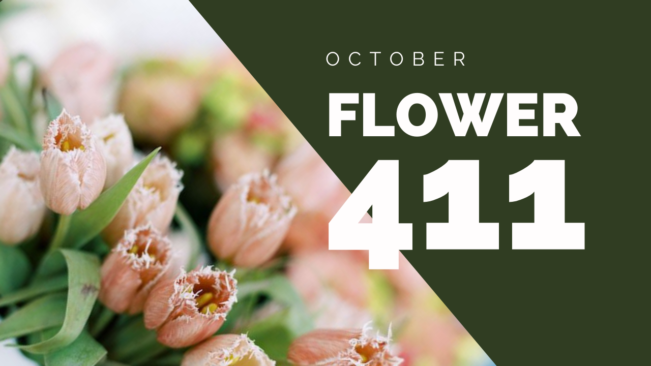 Flower 411: October 2020