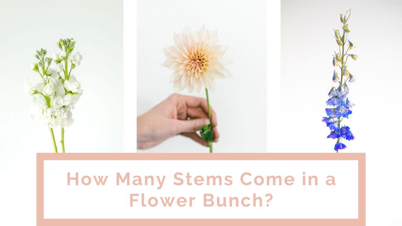 How Many Stems Come in a Flower Bunch?