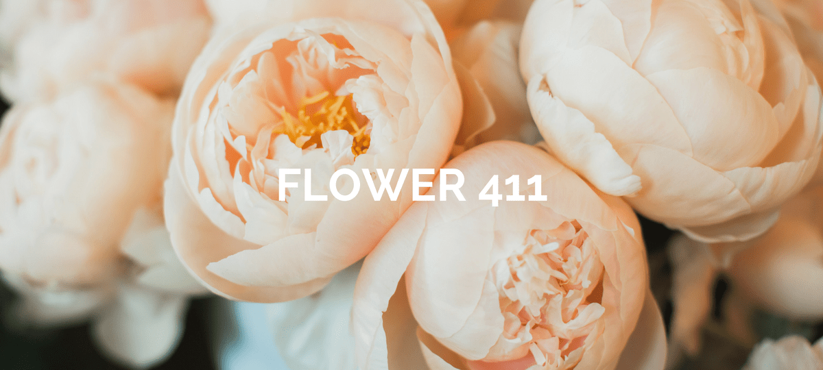 Flower 411: May 2018