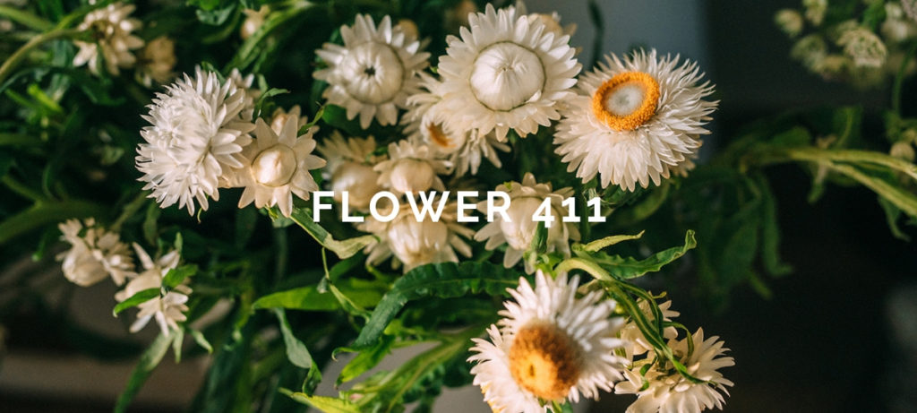 Flower 411: April 2019