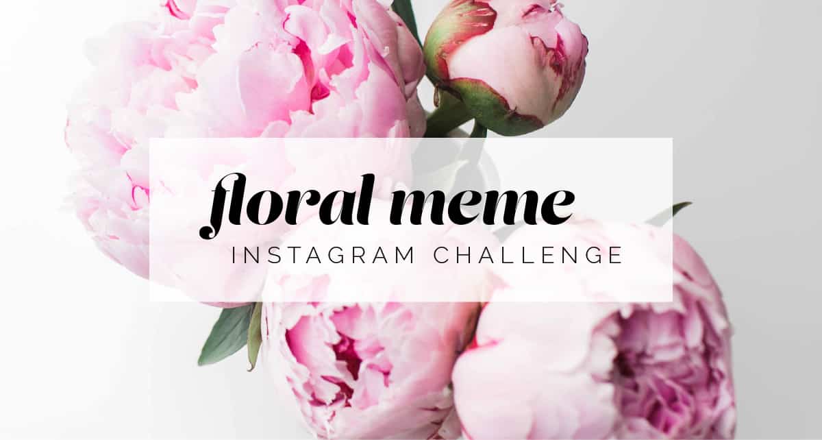 Floral Meme Instagram Challenge