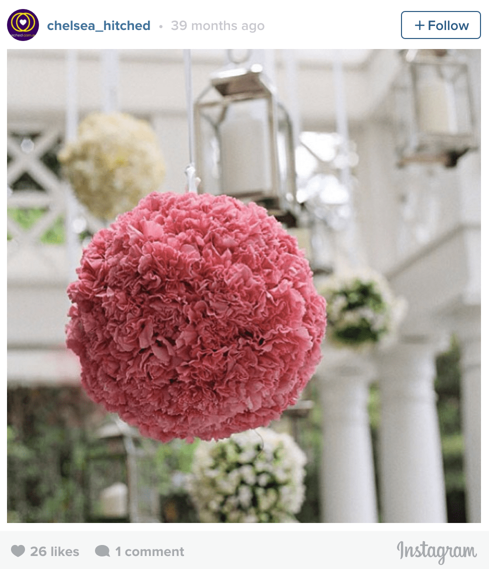 Flowers & Geometry: Spheres & Balls