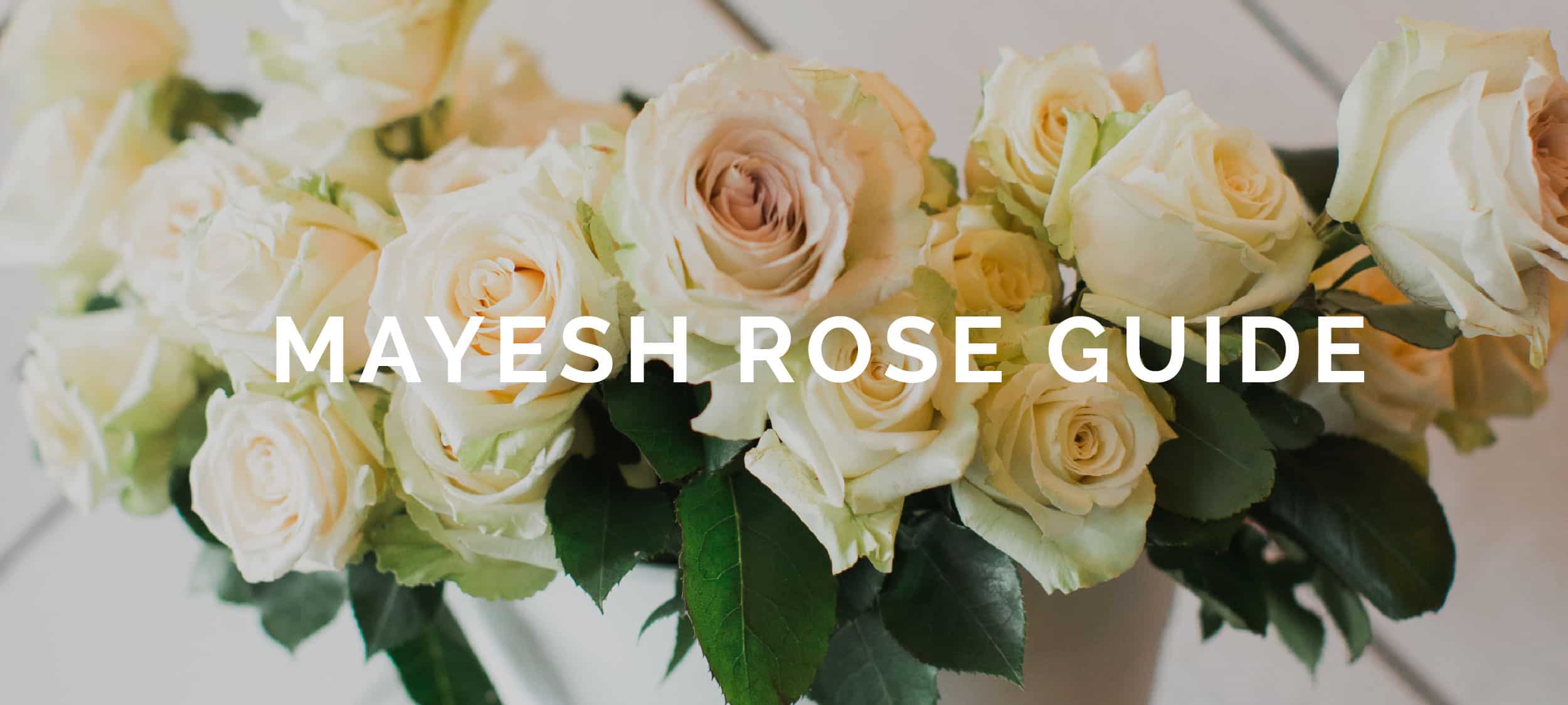 Mayesh Rose Guide Download