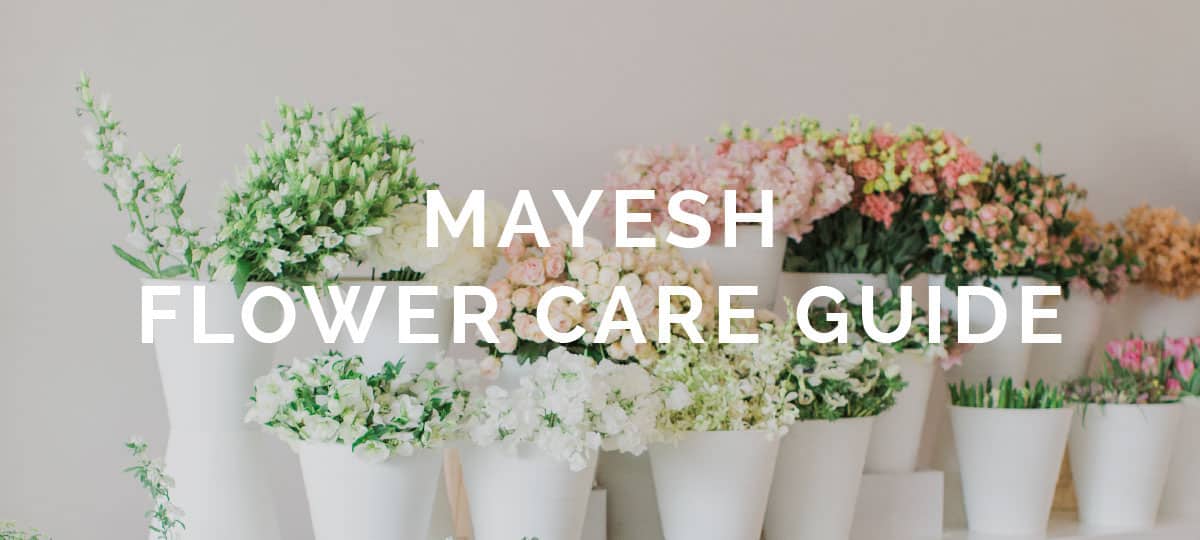 Mayesh Flower Care Guide Download