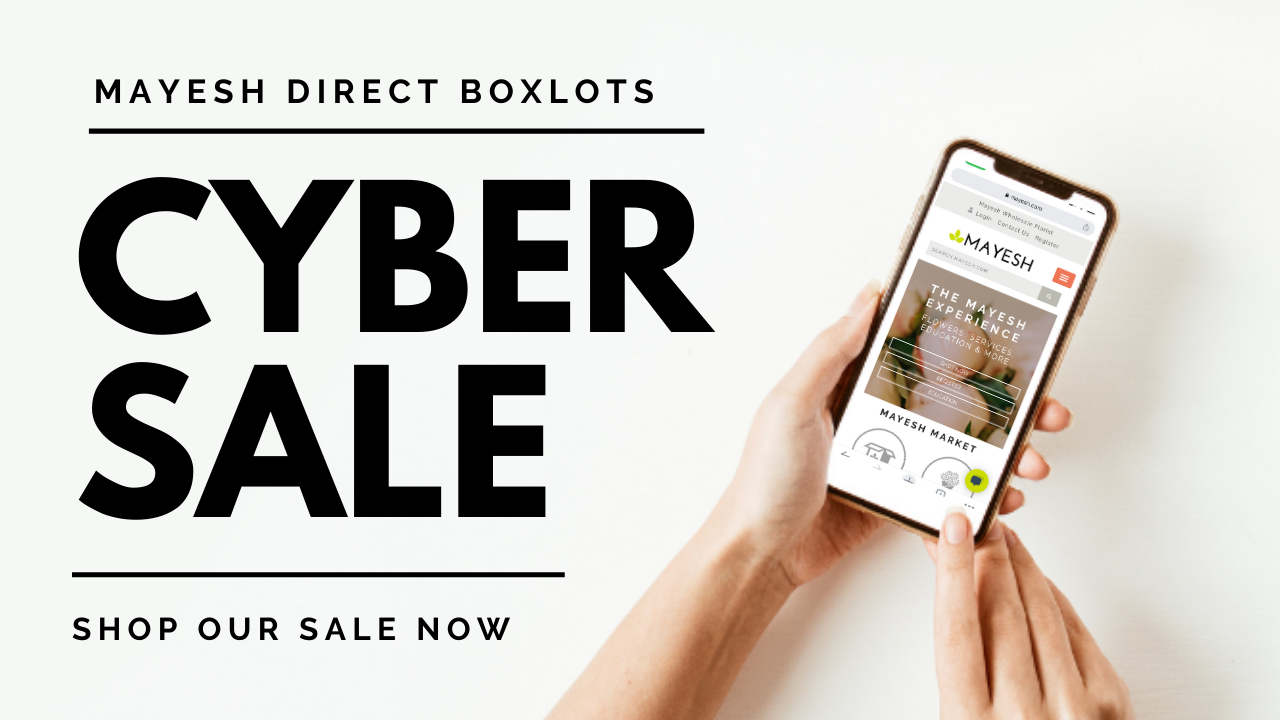 Mayesh Direct BoxLot Cyber Sale