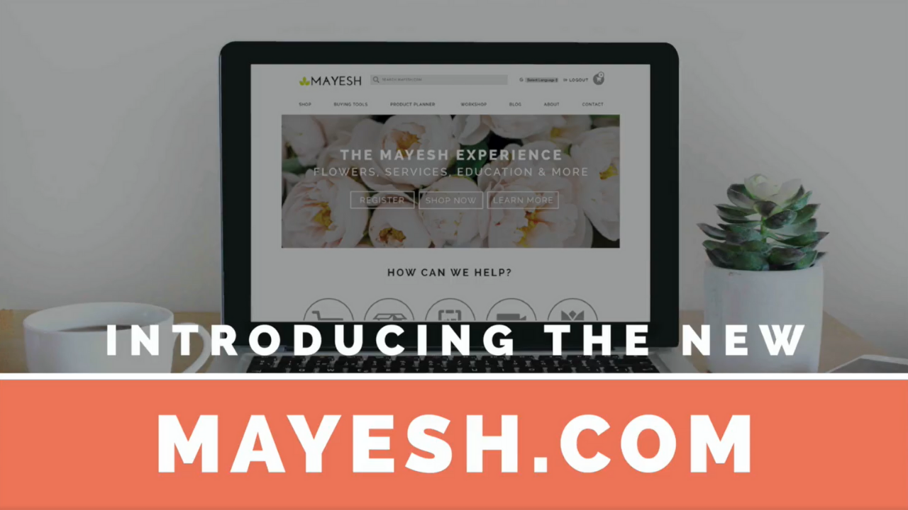 7 Reasons Why You Should Visit the NEW Mayesh.com