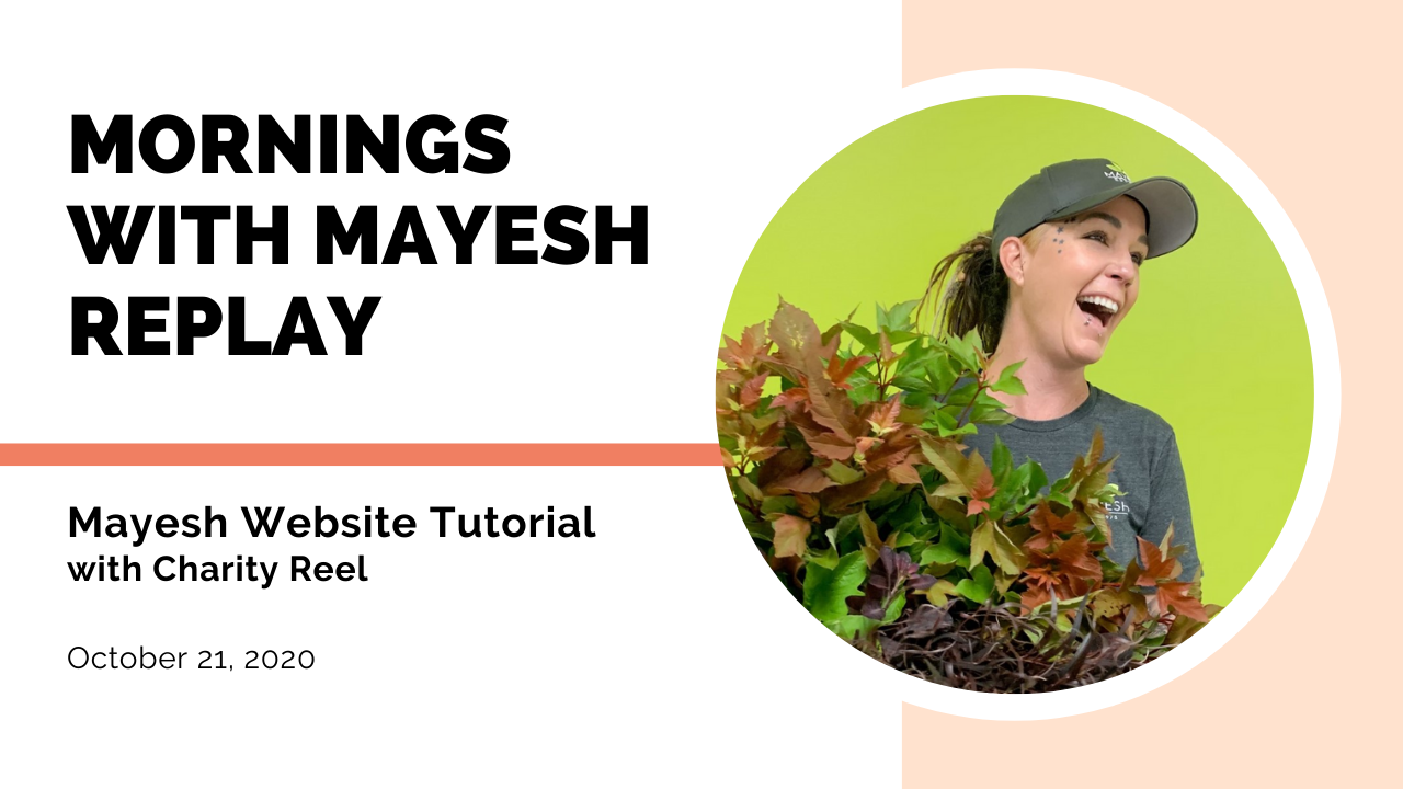 Mornings with Mayesh: Mayesh.com Website Walk Through