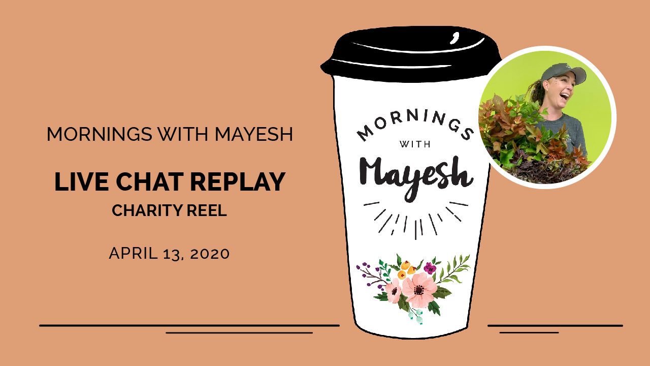 Mornings with Mayesh: Charity Reel & Mayesh.com
