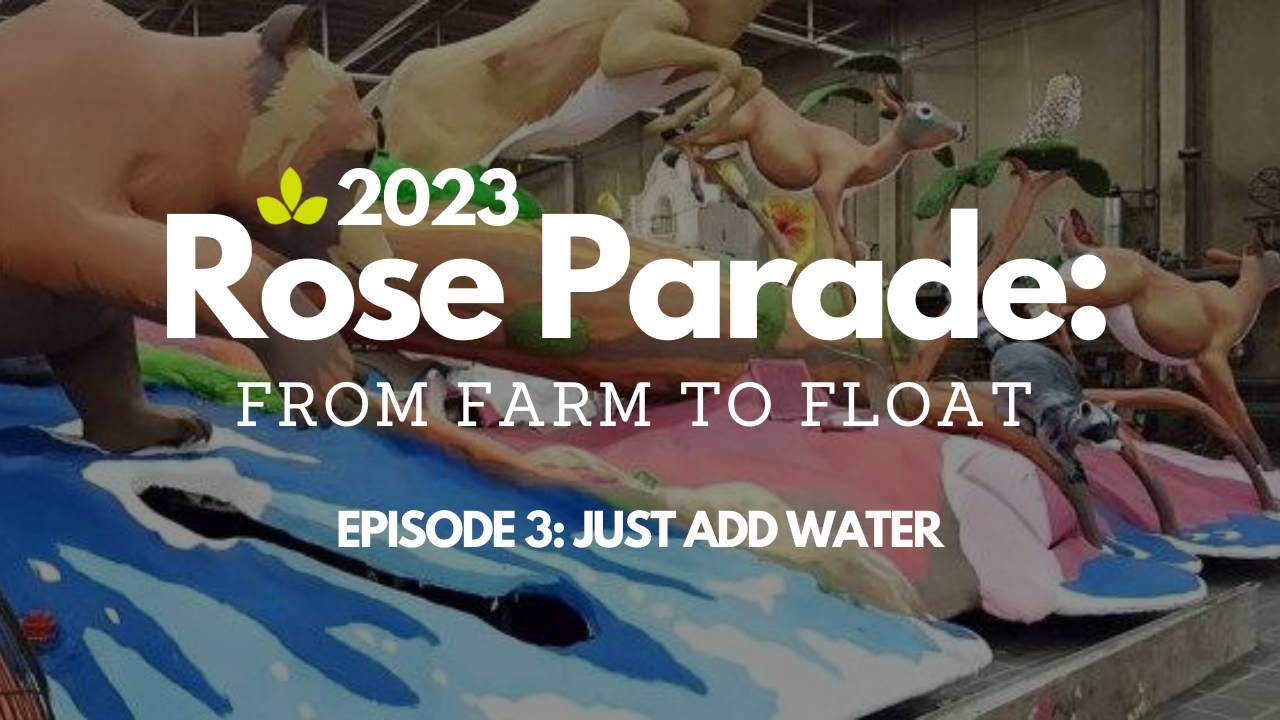 From Farm to Float: Just Add Water