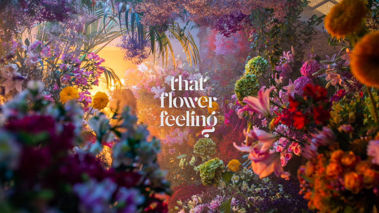 Introducing: That Flower Feeling