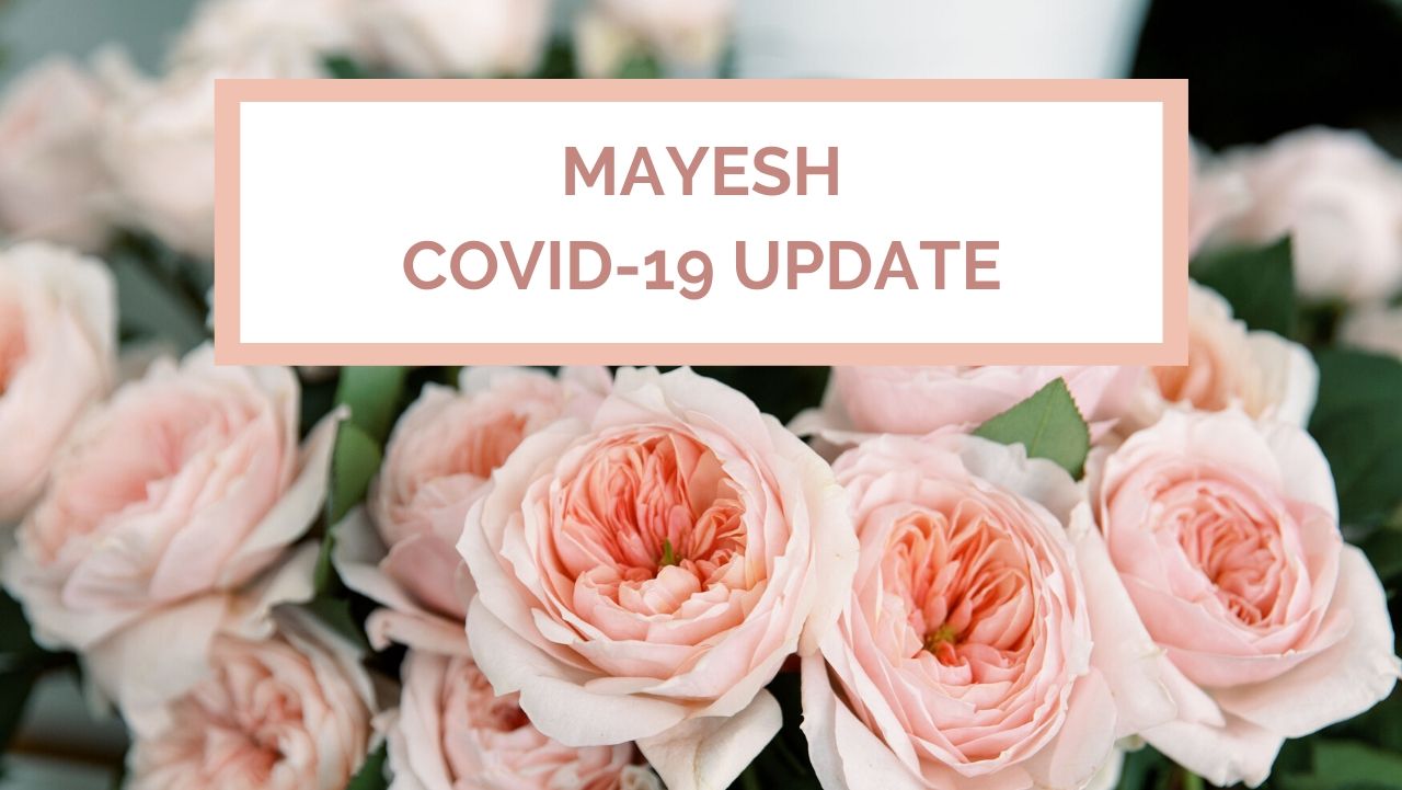 MAYESH COVID-19 UPDATE APRIL 24