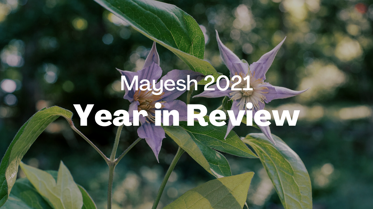 Mayesh 2021 Year In Review